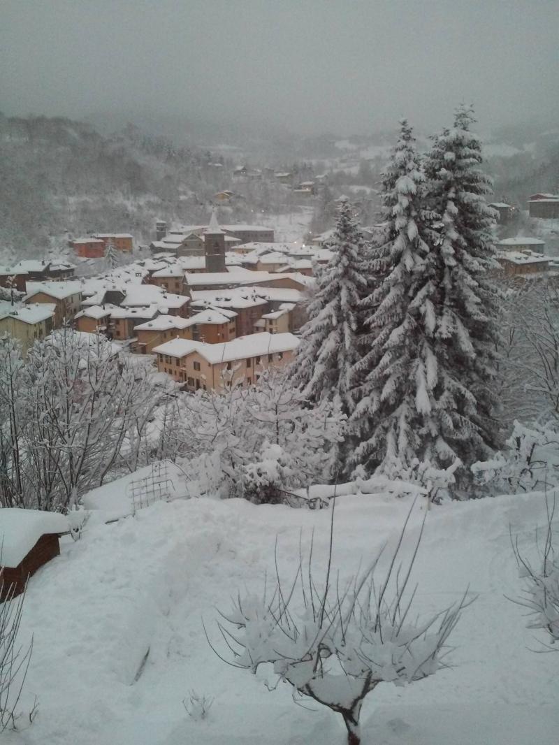 nevicata febbraio 2015