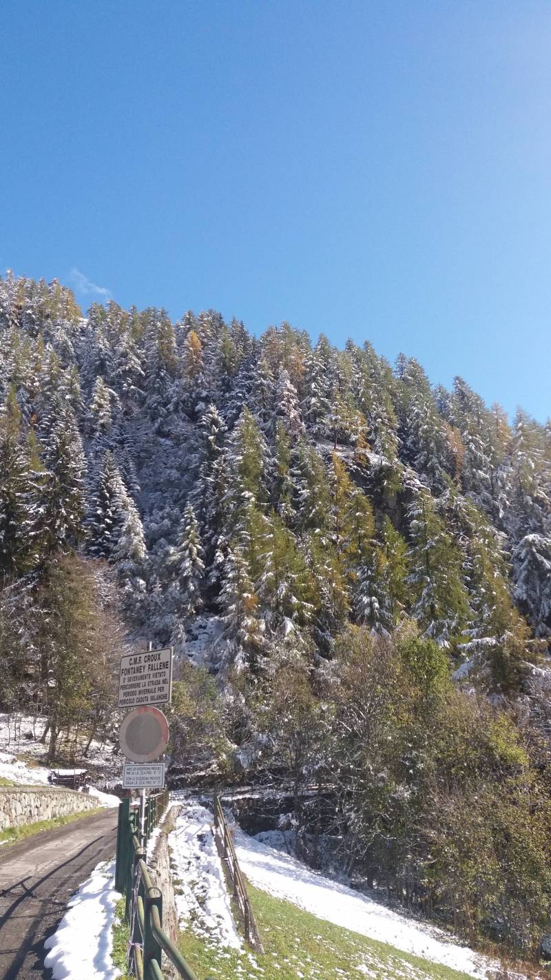 prima nevicata 2015