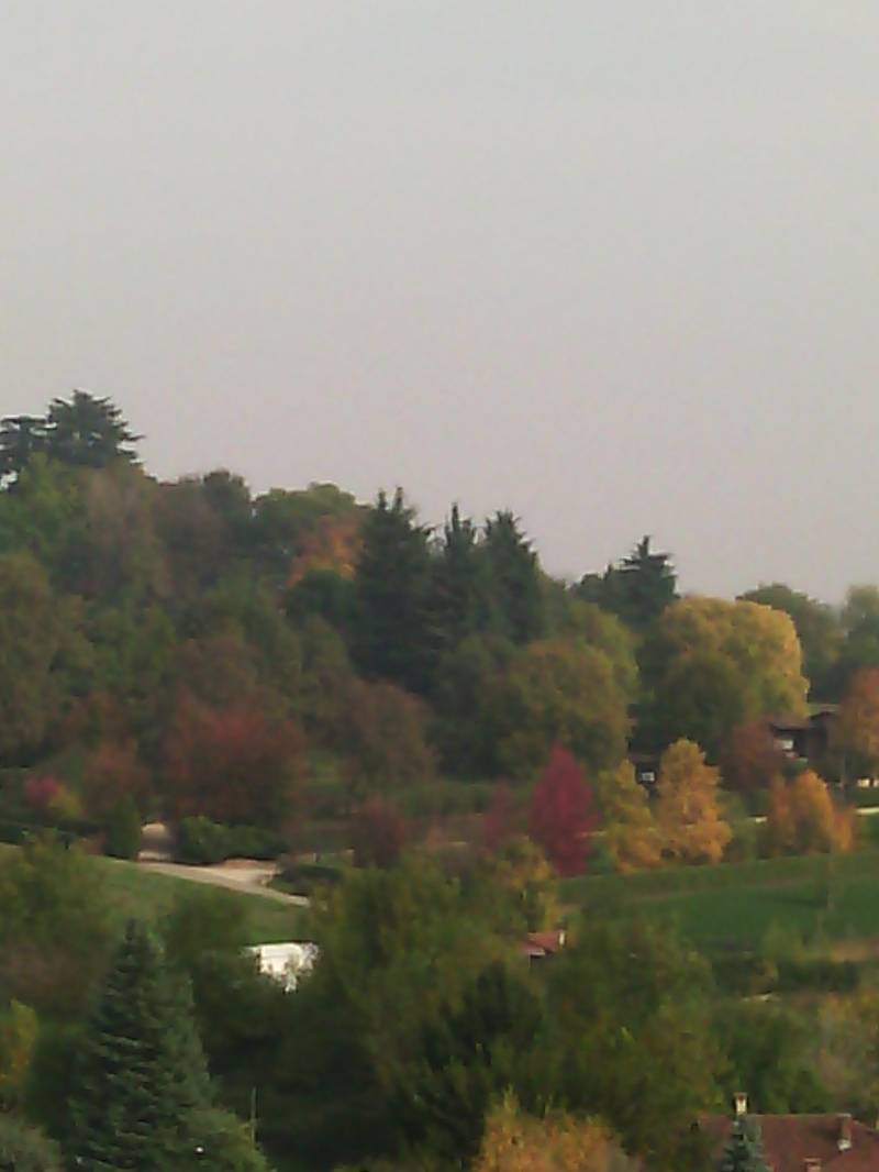 i colori dell'autunno
