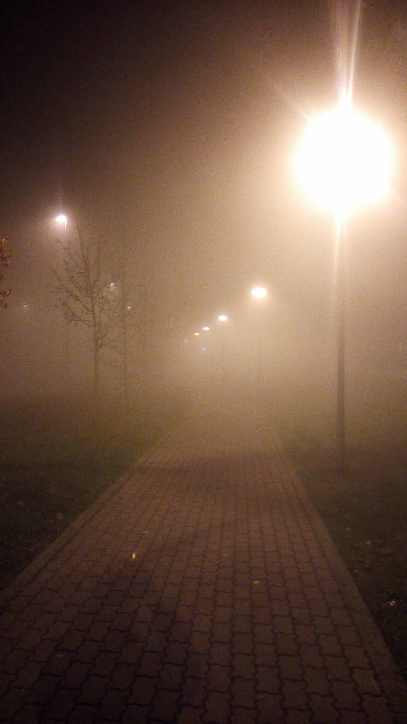 Nebbia in via Motta