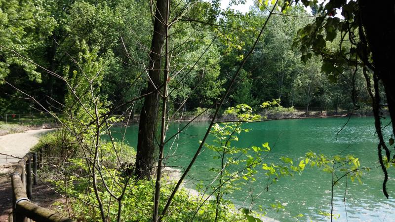 Parco degli Aironi