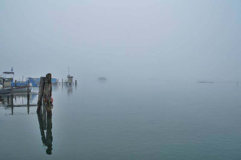 Nebbia a Porto Caleri