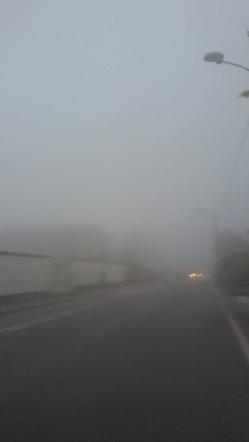 nebbia fitta