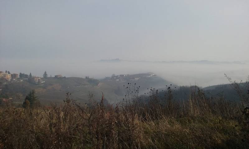 vista della nebbia dalle Langhe