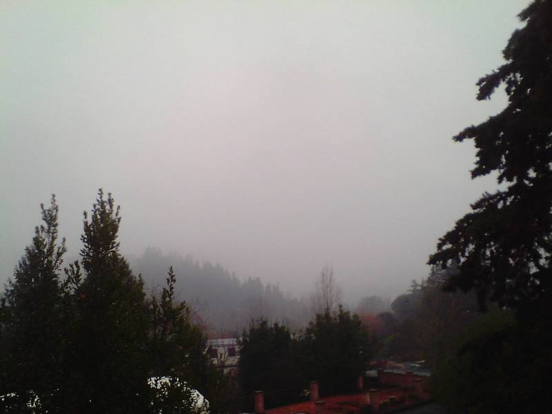 Nebbia e pioggia finalmente