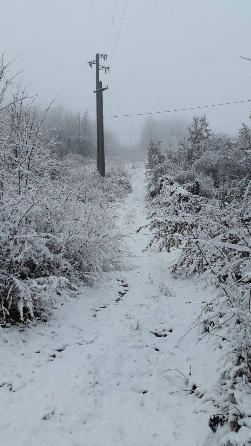 seconda nevicata inverno 2015