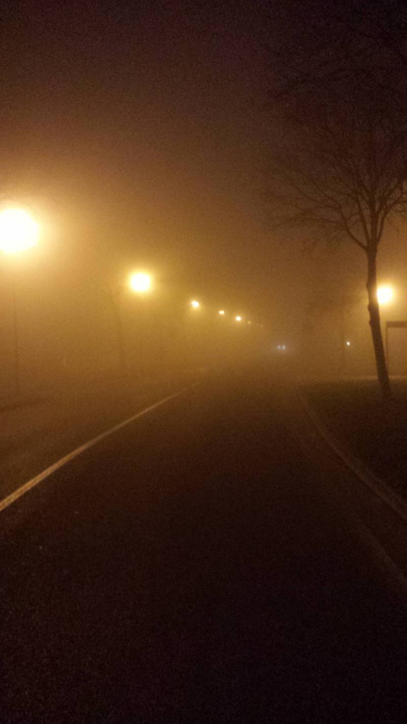 Argenta di notte con la nebbia