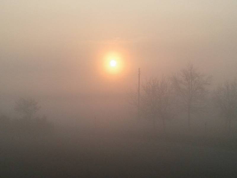 nebbia mattutina