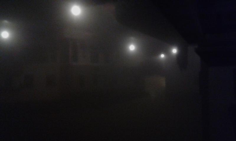 medolla nella nebbia