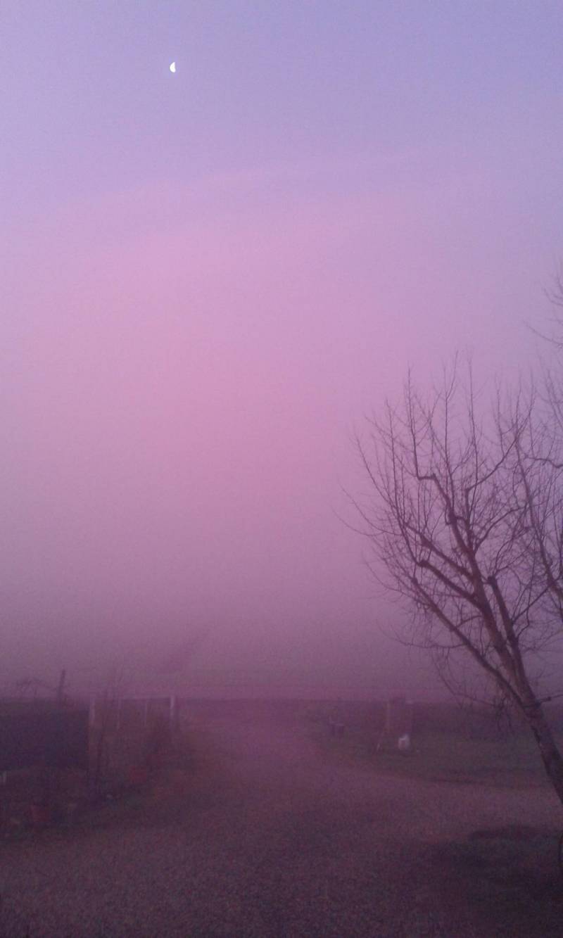 la nebbia rosa ore 715