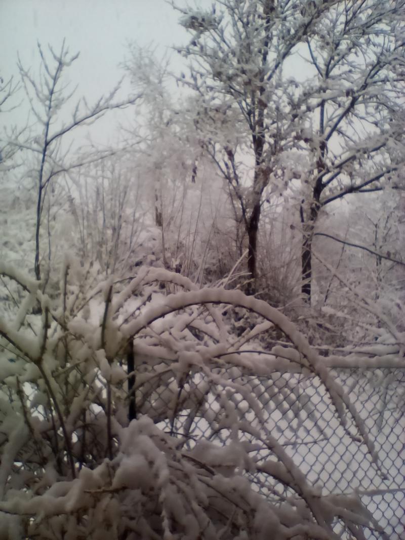 nevica a marzo 532016
