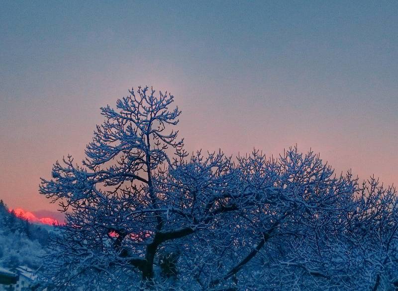 alba con la neve