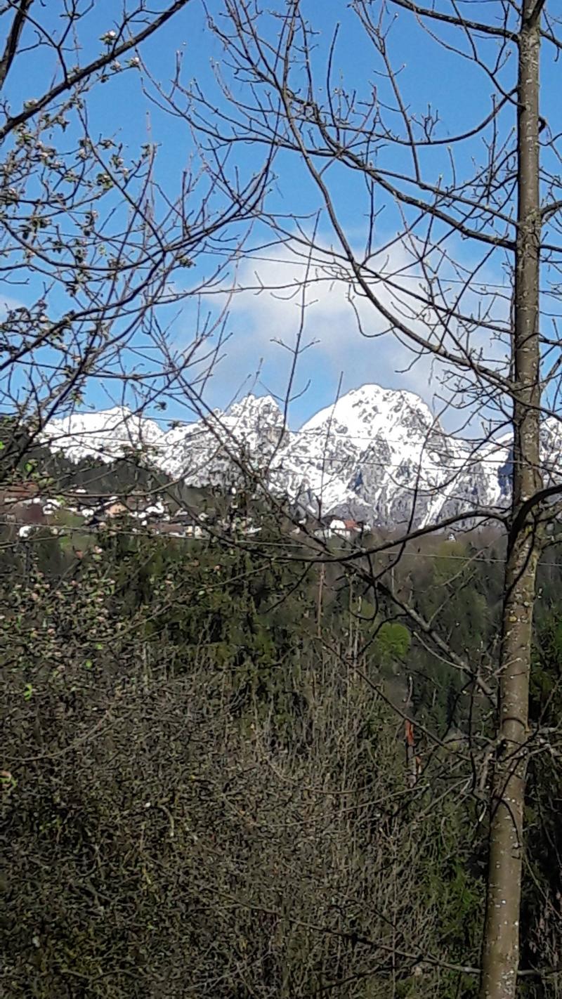 montagne Val Pesarina