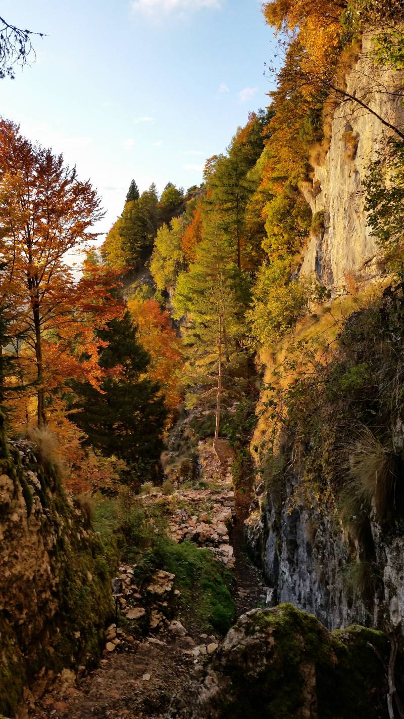 autunno in forra