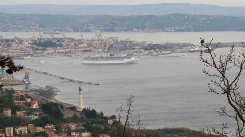 Trieste dall' alto