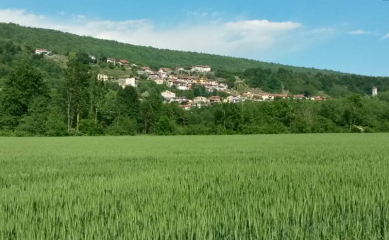 nel verde Canavese