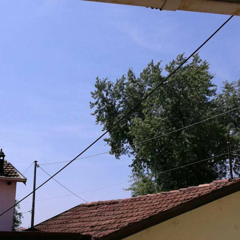 Fotosegnalazione di Vigliano biellese