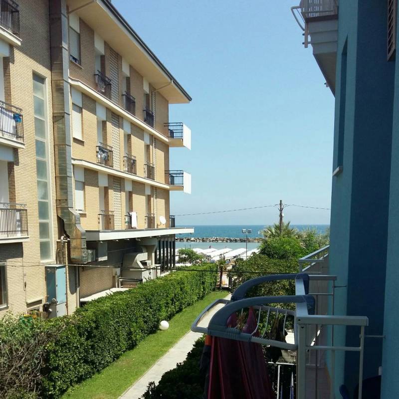 Fotosegnalazione di Bellaria igea marina