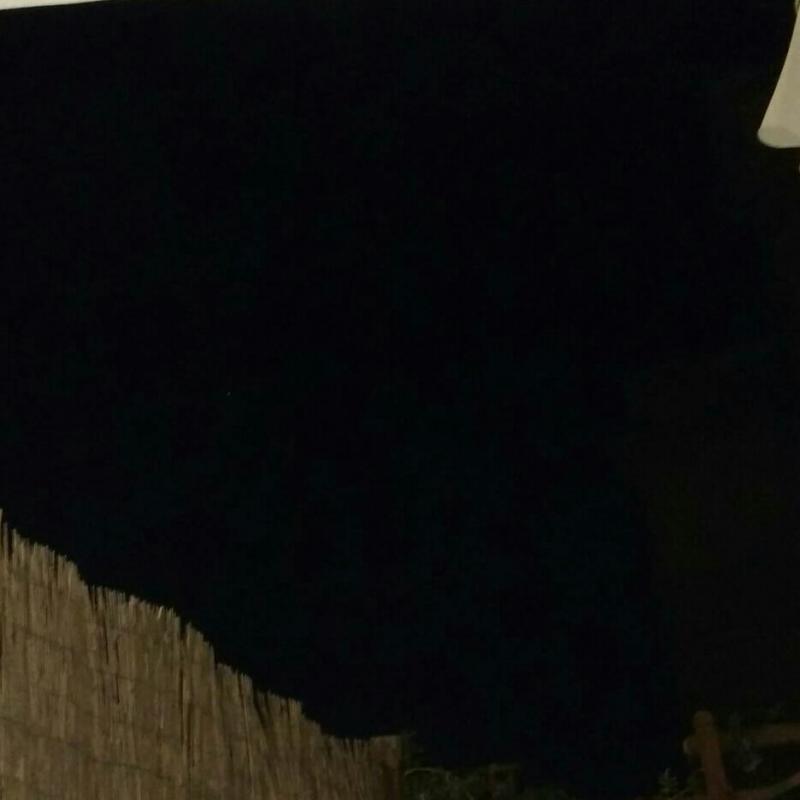 Fotosegnalazione di Anguillara sabazia