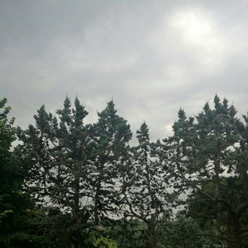 Fotosegnalazione di Veduggio con colzano