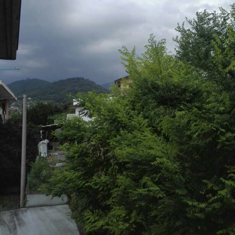 Fotosegnalazione di Alzano lombardo