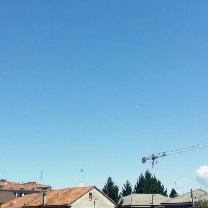 Fotosegnalazione di Paderno dugnano