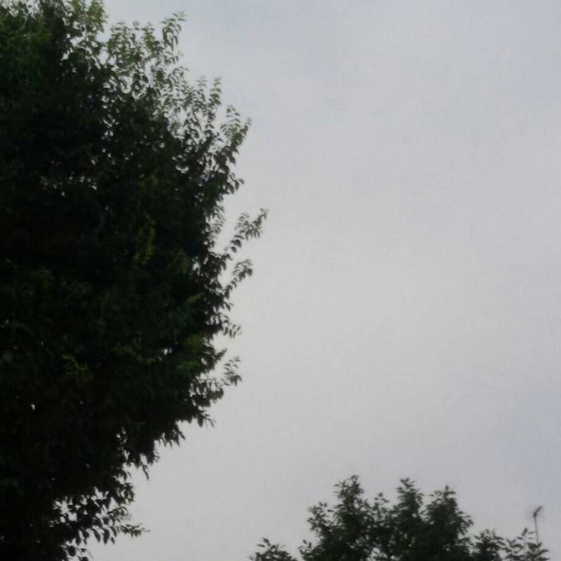 Fotosegnalazione di Bovisio masciago