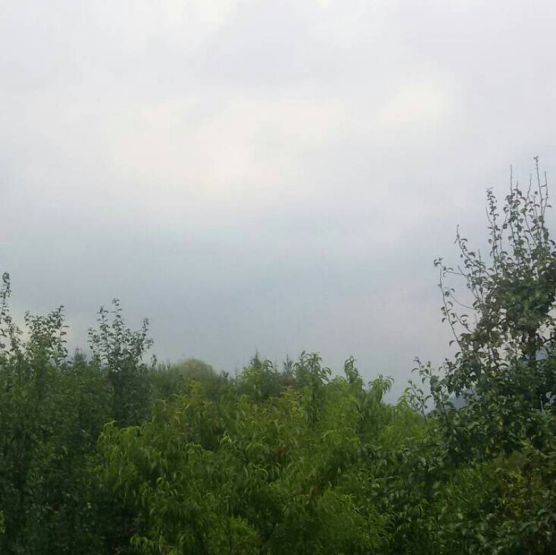 Fotosegnalazione di Pergine valsugana