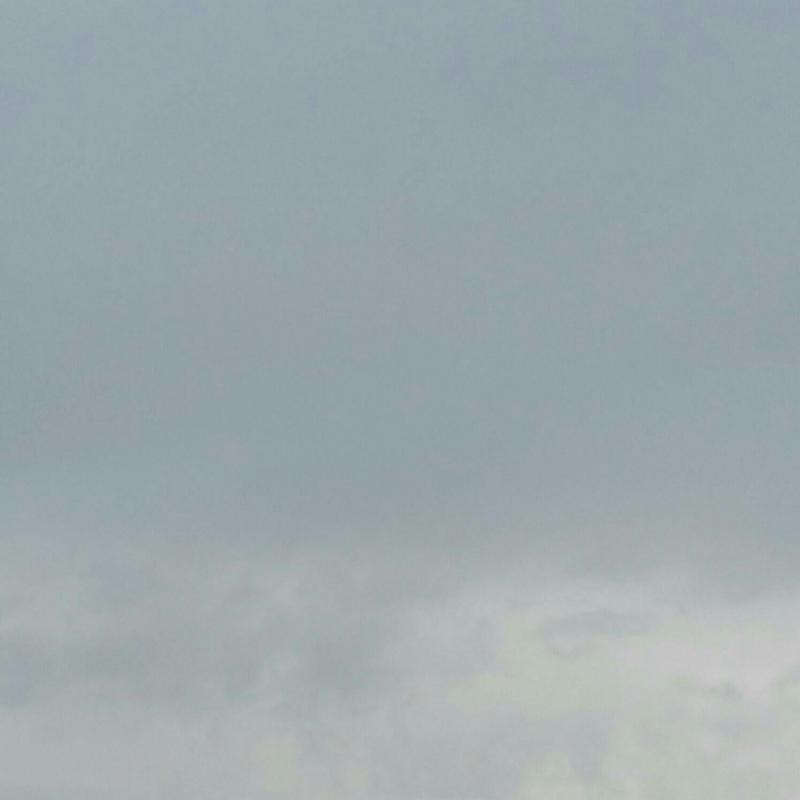 Fotosegnalazione di Bellaria igea marina