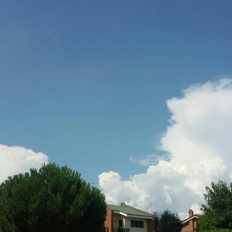 Fotosegnalazione di Albiate