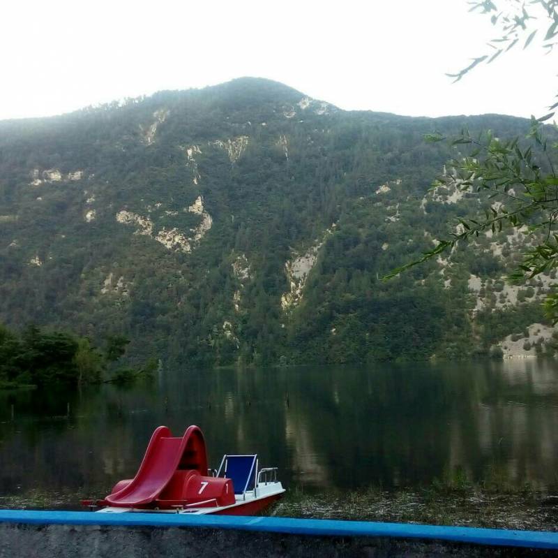 Fotosegnalazione di Arsie'