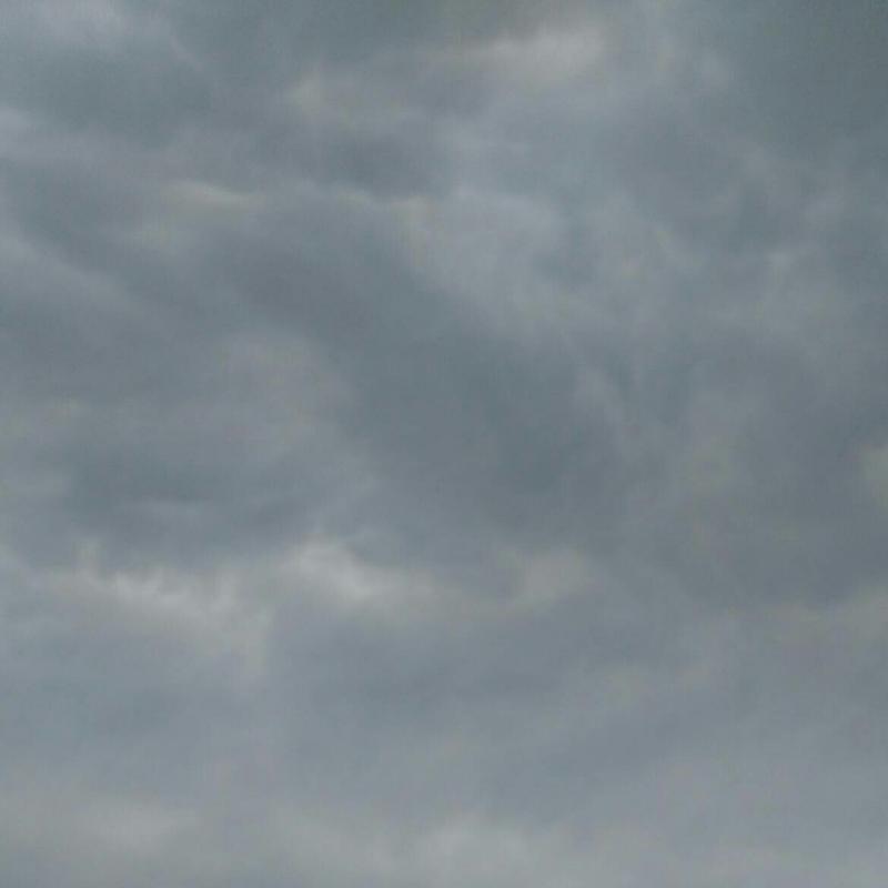 Fotosegnalazione di Pinarella