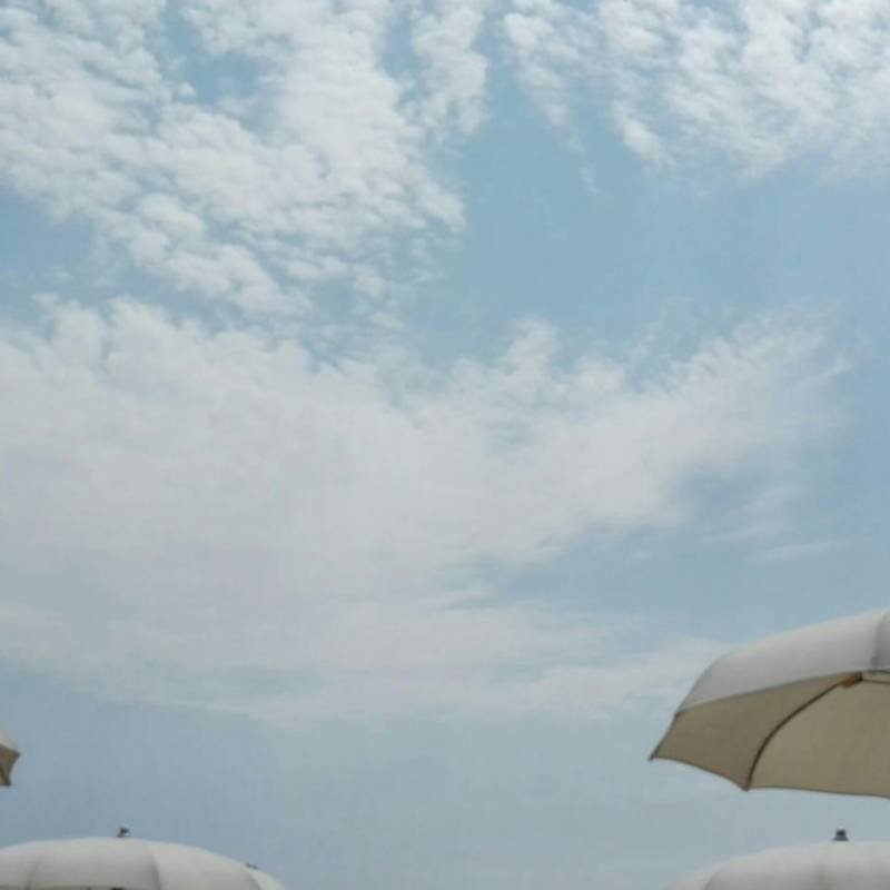 Fotosegnalazione di Eraclea mare