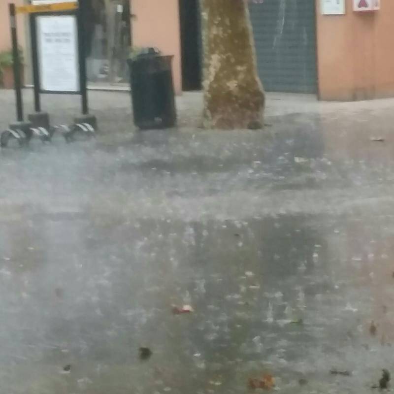 Fotosegnalazione di Bellaria igea marina