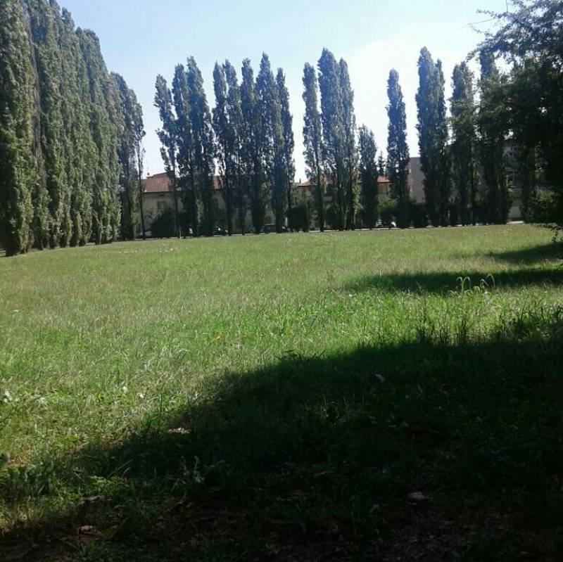 parco arese