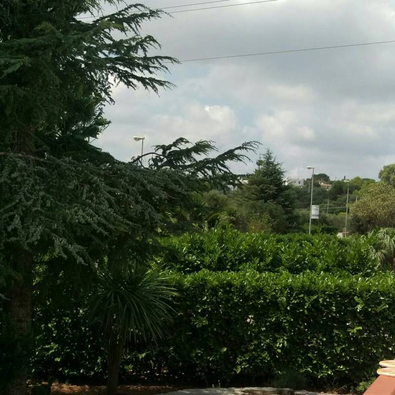 Fotosegnalazione di Ostuni