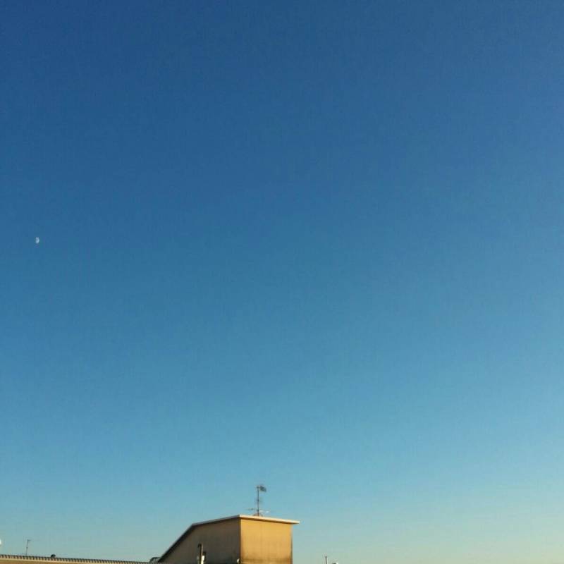 Fotosegnalazione di Montemurlo