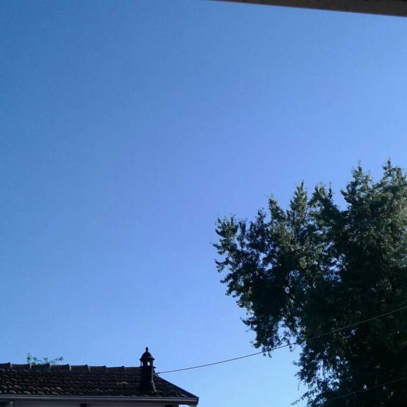 Fotosegnalazione di Vigliano biellese