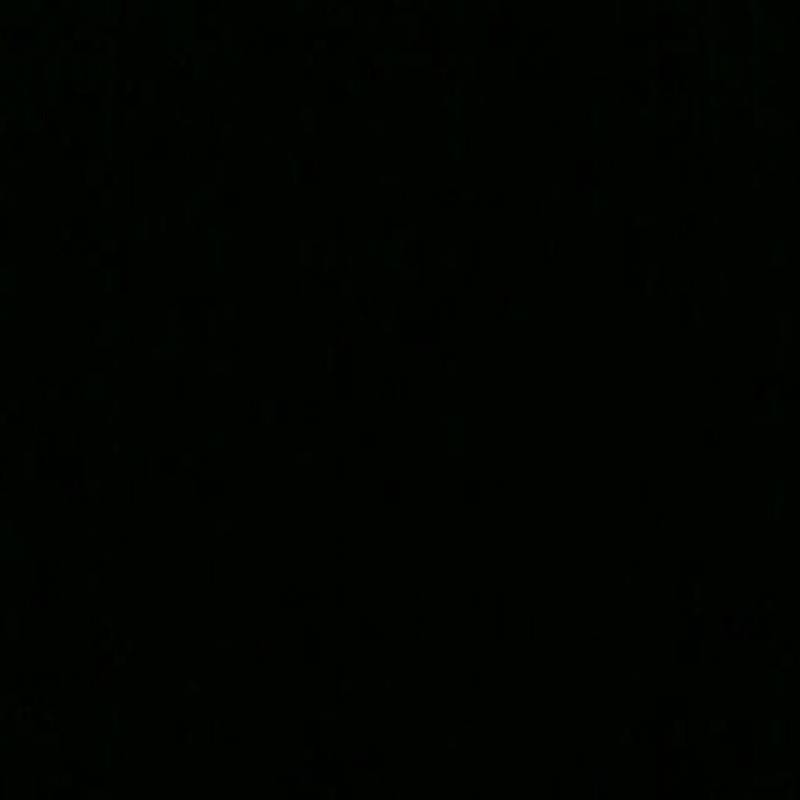 Fotosegnalazione di Vigliano biellese