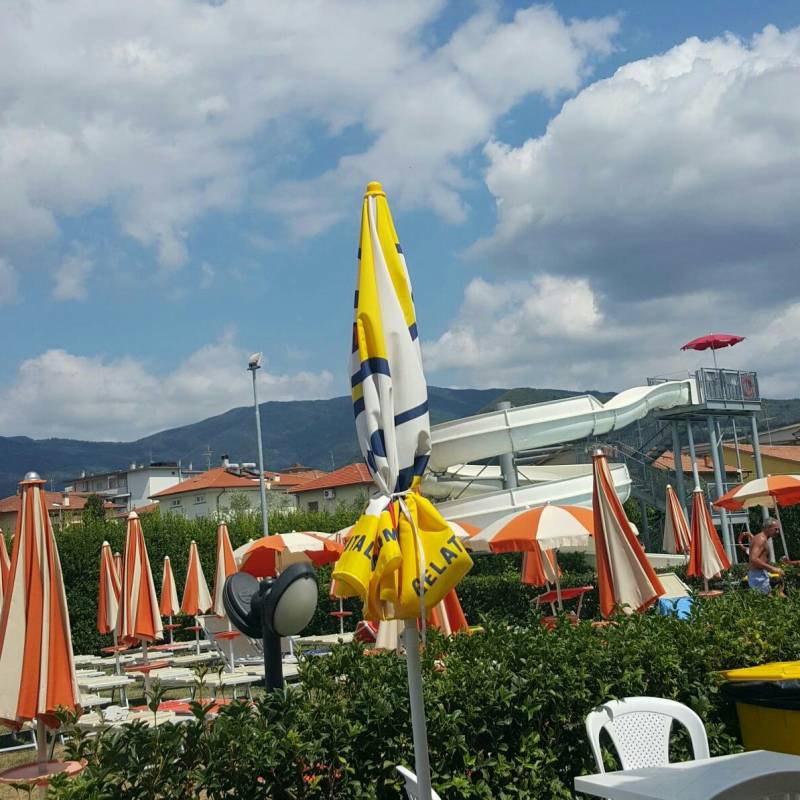 Fotosegnalazione di Montale