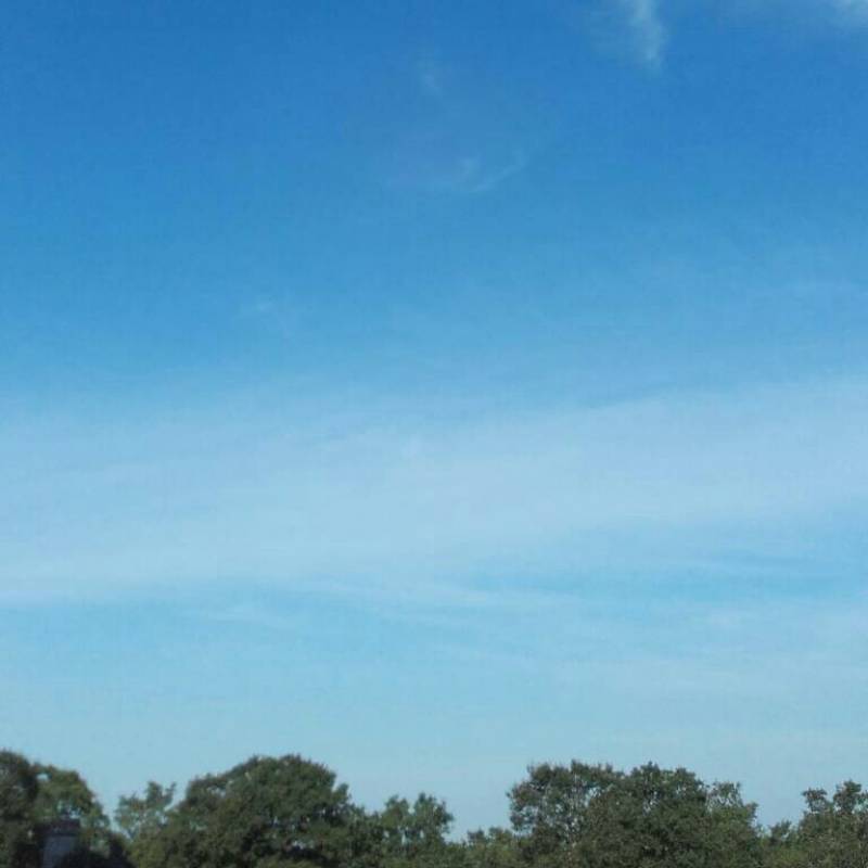 Fotosegnalazione di Noci