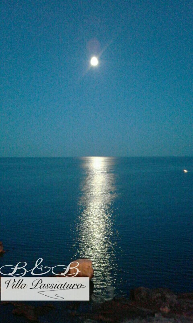 Serata a chiaro di luna