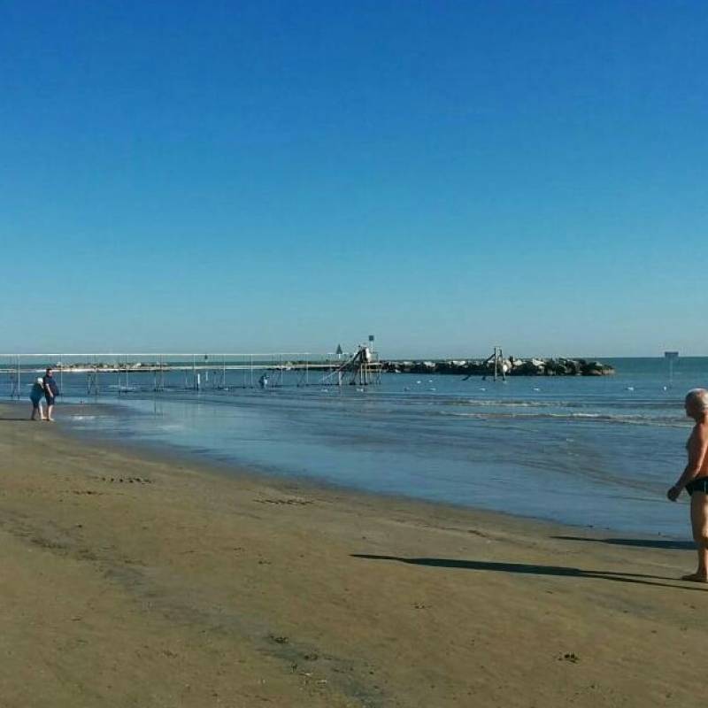Fotosegnalazione di Bellaria igea marina