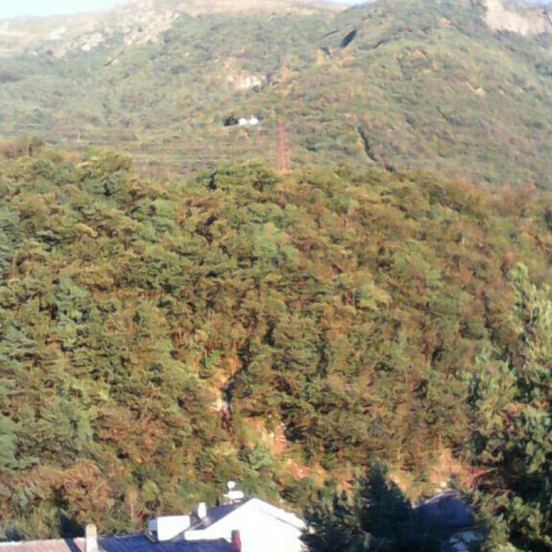 Alpe Grandi dove morirono i partigiani