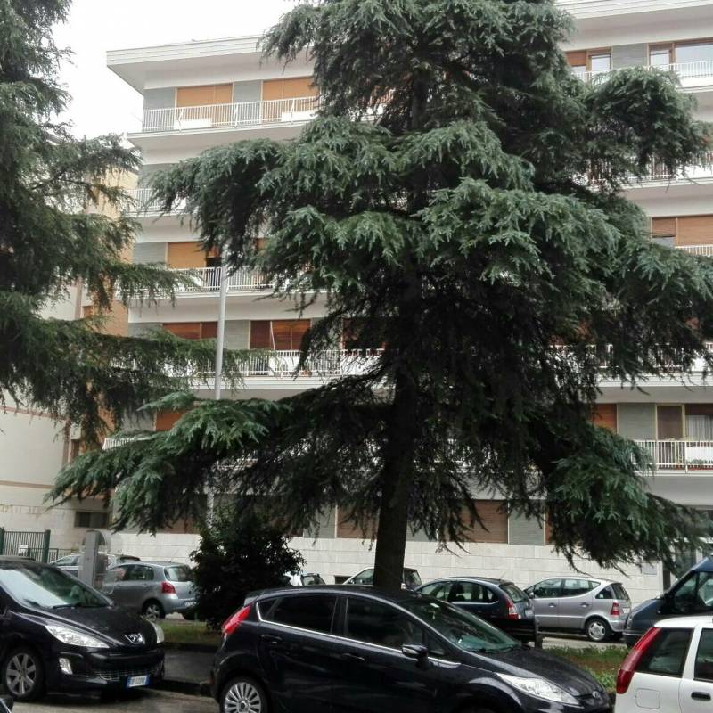 Fotosegnalazione di Benevento