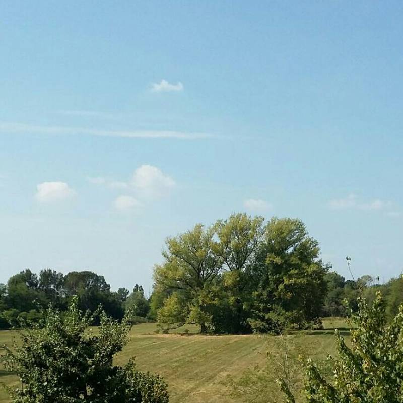 Fotosegnalazione di Pogliano milanese