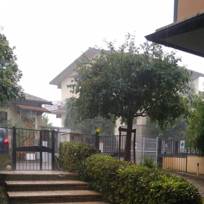 Fotosegnalazione di Scandicci