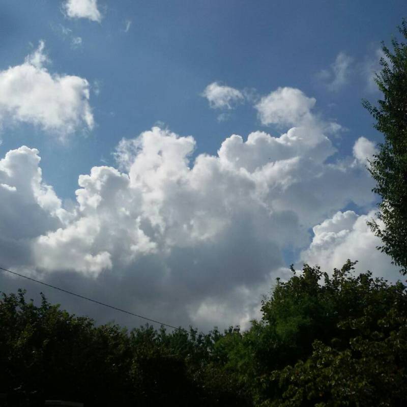 Fotosegnalazione di Bovisio masciago