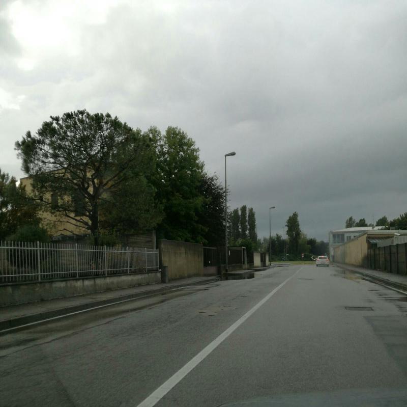 Fotosegnalazione di Usmate velate
