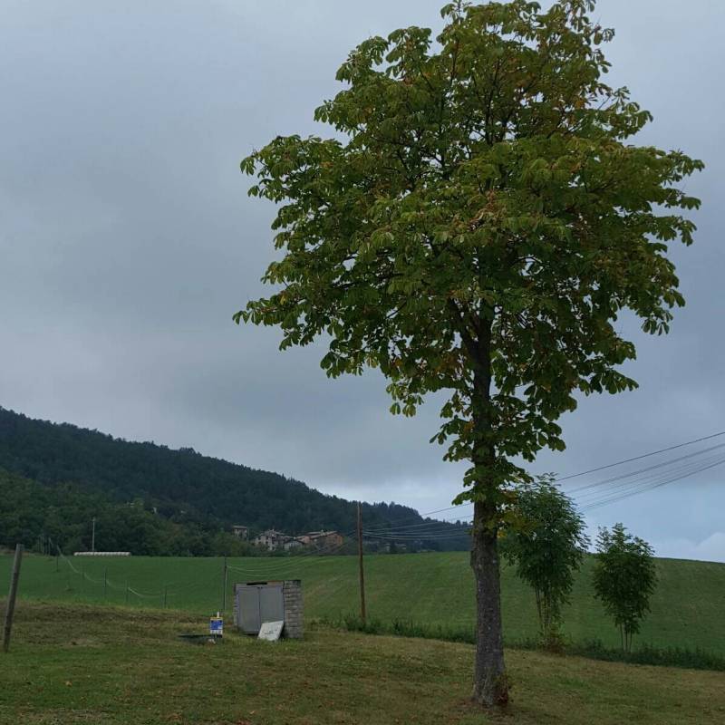 Fotosegnalazione di Pavullo nel frignano